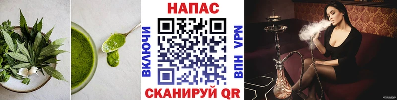 как найти   гидра как войти  Cannafood марихуана  Россошь 
