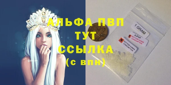 индика Березники