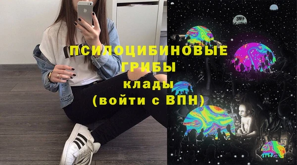 первитин Няндома